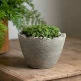 Photo of Campania Broken Egg Planter Mini - Exclusively Campania